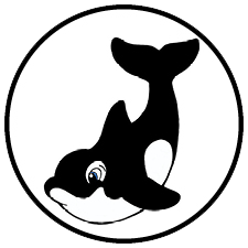 Orcas Swim Class Arena Sports Swim Lessons - Orcas Group Swim Level