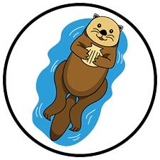 Sea Otters Swim Class Arena Sports Issaquah Swim Lessons - Otters Group Swim Level