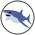 shark