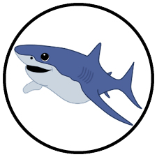 Sharks Swim Class Arena Sports Issaquah Swim Lessons - Sharks Group Swim Level