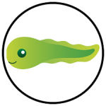 tadpole