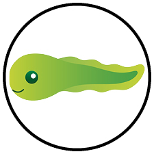 Tadpoles Swim Class Arena Sports Swim Lessons - Tadpoles Group Class Level