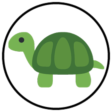 Turtles Swimming Class Arena Sports Swim Lessons - Turtles Group Swim Class Level